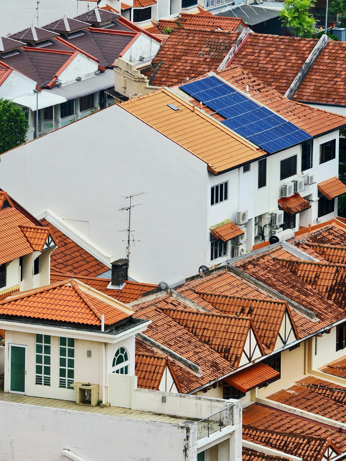 Rooftops with a solar array on one house